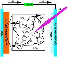 Graphical abstract: On the viability of cyclometalated Ru(ii) complexes as dyes in DSSC regulated by COOH group, a DFT study