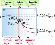 Graphical abstract: Which mechanism operates in the electron-transfer process at liquid/liquid interfaces?