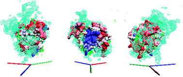 Graphical abstract: Self-assembly of trehalose molecules on a lysozyme surface: the broken glass hypothesis