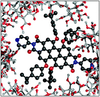 Graphical abstract: Freezing single molecule dynamics on interfaces and in polymers
