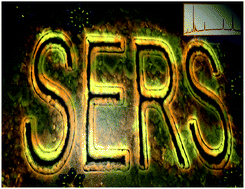 Graphical abstract: Recent progress in SERS biosensing