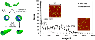 Graphical abstract: Growth kinetic of single and double-walled aluminogermanate imogolite-like nanotubes: an experimental and modeling approach