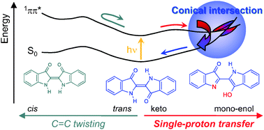 Graphical abstract: Molecular mechanisms of the photostability of indigo