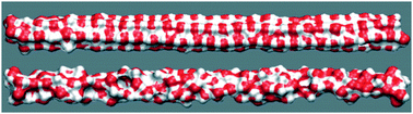 Graphical abstract: Molecular dynamics of zigzag single walled carbon nanotube immersion in water