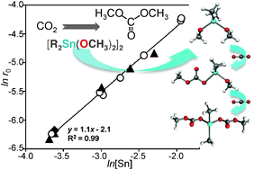 Graphical abstract: From CO2 to dimethyl carbonate with dialkyldimethoxystannanes: the key role of monomeric species