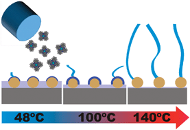 Graphical abstract: Growth mechanisms of phthalocyanine nanowires induced by Au nanoparticle templates