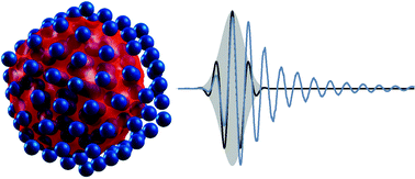 Graphical abstract: Time-resolved analysis of strong-field induced plasmon oscillations in metal clusters by spectral interferometry with few-cycle laser fields