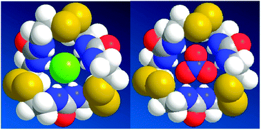 Graphical abstract: Multiple hydrogen-bonding interactions between macrocyclic triurea and F−, Cl−, Br−, I− and NO3−: a theoretical investigation