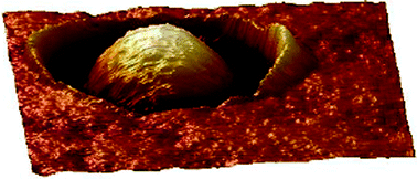 Graphical abstract: Adhesive properties of Staphylococcus epidermidis probed by atomic force microscopy