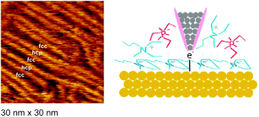 Graphical abstract: An in situSTM/AFM and impedance spectroscopy study of the extremely pure 1-butyl-1-methylpyrrolidinium tris(pentafluoroethyl)trifluorophosphate/Au(111) interface: potential dependent solvation layers and the herringbone reconstruction