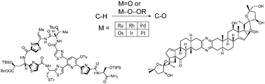 Graphical abstract: C–H oxidation by platinum group metal oxo or peroxo species