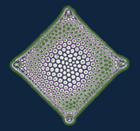 Graphical abstract: From diatoms to silica-based biohybrids
