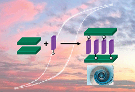 Graphical abstract: Layered hydroxide hybrid nanostructures: a route to multifunctionality