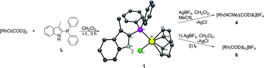 Graphical abstract: Rhodium and iridium complexes containing diphenyl-2-(3-methyl)indolylphosphine: synthesis, structure and application in the catalytic transfer hydrogenation of ketones
