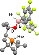 Graphical abstract: Facile dihydrogen release from phosphino-borinate ester Lewis pairs