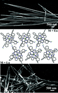 Graphical abstract: Sandwich-type mixed (phthalocyaninato)(porphyrinato) rare earth double-decker complexes with decreased molecular symmetry of Cs: Single crystal structure and self-assembled nano-structure