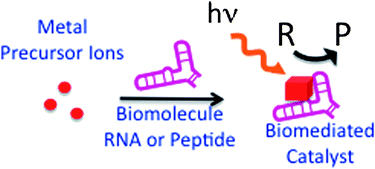 Graphical abstract: Biomolecules in the synthesis and assembly of materials for energy applications