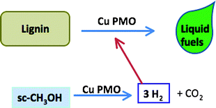 Graphical abstract: Catalytic disassembly of an organosolv lignin via hydrogen transfer from supercritical methanol