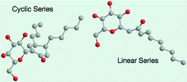 Graphical abstract: Linear and cyclic C-glycosides as surfactants