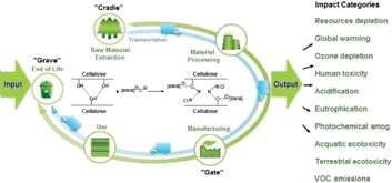 Graphical abstract: Comparative cradle-to-gate life cycle assessments of cellulose dissolution with 1-butyl-3-methylimidazolium chloride and N-methyl-morpholine-N-oxide