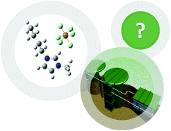 Graphical abstract: Efficient biodegradation of common ionic liquids by Sphingomonas paucimobilis bacterium