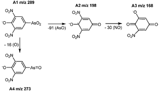 Graphical abstract: Identification of roxarsone metabolites produced in the system: Soil–chlorinated water–light by using HPLC-ICP-MS/ESI-MS, HPLC-ESI-MS/MS and High Resolution Mass Spectrometry (ESI-TOF-MS)