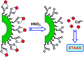 Graphical abstract: Cadmium preconcentration with bean-coat as a green adsorbent with detection by electrothermal atomic absorption spectrometry