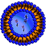 Graphical abstract: Simultaneous measurement of phosphorus and platinum by Size Exclusion Chromatography coupled to Inductively Coupled Plasma Mass Spectrometry (SEC-ICPMS) using xenon as reactive collision gas for characterization of platinum drug liposomes