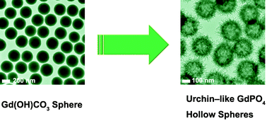 Graphical abstract: Urchin-like GdPO4 and GdPO4:Eu3+ hollow spheres – hydrothermal synthesis, luminescence and drug-delivery properties