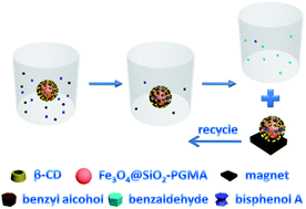 Graphical abstract: β-Cyclodextrin-modified hybrid magnetic nanoparticles for catalysis and adsorption