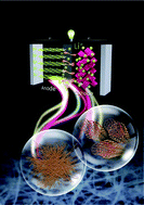 Graphical abstract: One dimensional Si/Sn - based nanowires and nanotubes for lithium-ion energy storage materials