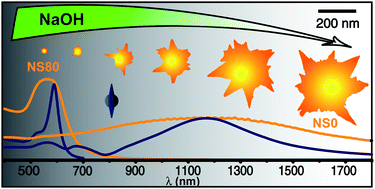 Graphical abstract: Synthesis and modelling of gold nanostars with tunable morphology and extinction spectrum