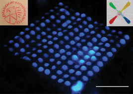 Graphical abstract: Laser-treated hydrophobic paper: an inexpensive microfluidic platform