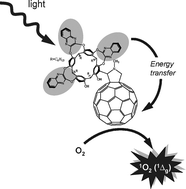 Graphical abstract: Synthesis and photophysics of a fullerene-triquinoxaline ensemble