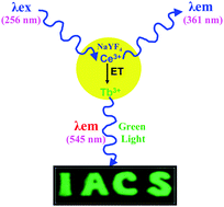 Graphical abstract: Energy transfer study between Ce3+ and Tb3+ ions in doped and core-shell sodium yttrium fluoride nanocrystals