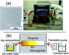 Graphical abstract: Access to small size distributions of nanoparticles by microwave-assisted synthesis. Formation of Ag nanoparticles in aqueous carboxymethylcellulose solutions in batch and continuous-flow reactors