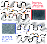 Graphical abstract: Size exclusion chromatography of quantum dots by utilizing nanoparticle repelling surface of concentrated polymer brush