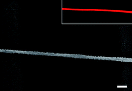 Graphical abstract: Single light-emitting polymer nanofiber field-effect transistors