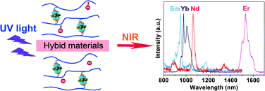 Graphical abstract: Near-infrared luminescent copolymerized hybrid materials built from tin nanoclusters and PMMA