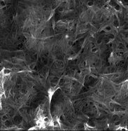 Graphical abstract: Gel–carbon nanotube materials: the relationship between nanotube network connectivity and conductivity