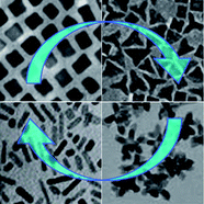 Graphical abstract: Shape control of platinum and palladium nanoparticles for catalysis