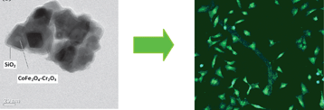 Graphical abstract: A new CoFe2O4–Cr2O3–SiO2 fluorescent magnetic nanocomposite
