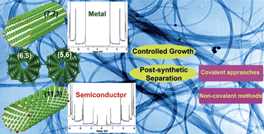 Graphical abstract: Chemical approaches towards single-species single-walled carbon nanotubes