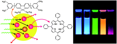Graphical abstract: Amplified energy transfer in conjugated polymer nanoparticle tags and sensors