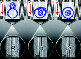 Graphical abstract: In situ observations of fullerene fusion and ejection in carbon nanotubes