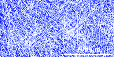 Graphical abstract: Tuning intermolecular non-covalent interactions for nanowires of organic semiconductors
