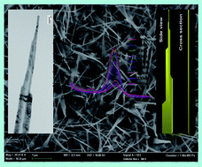 Graphical abstract: Synthesis and characterization of one-dimensional flat ZnO nanotower arrays as high-efficiency adsorbents for the photocatalytic remediation of water pollutants