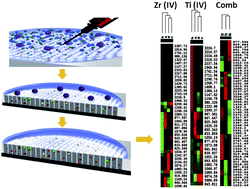 Graphical abstract: Surface engineering on mesoporous silica chips for enriching low molecular weight phosphorylated proteins