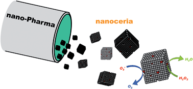Graphical abstract: Pharmacological potential of cerium oxide nanoparticles