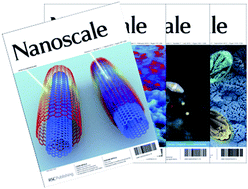 Graphical abstract: Nanoscale: a bright future